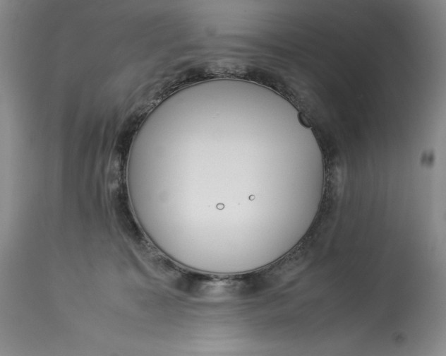 X0000113990323200910231735