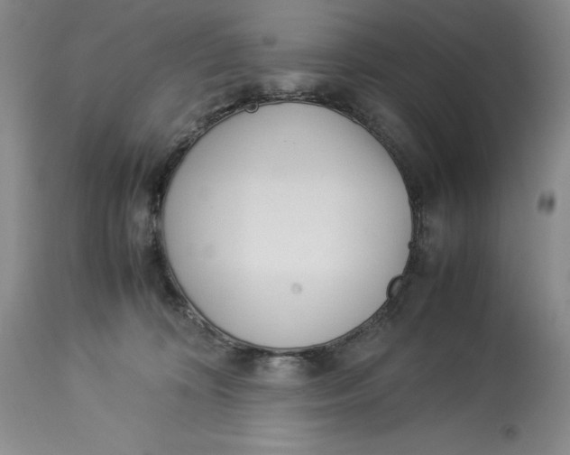 X0000113990324200910231735