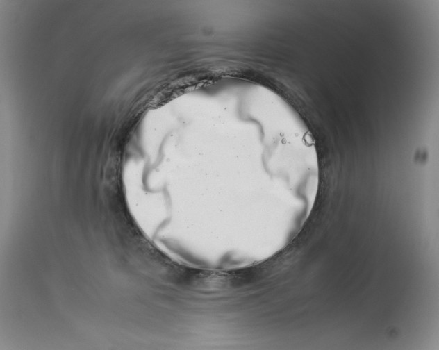 X0000113990325200910231735