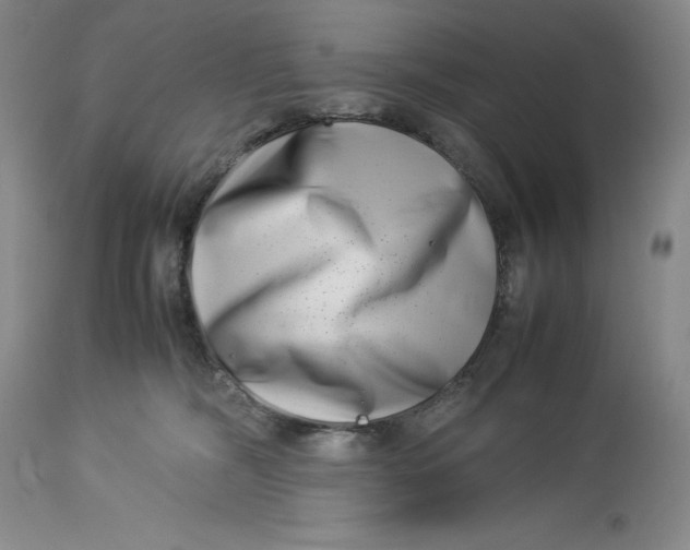 X0000113990326200910231735