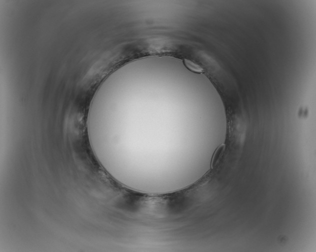 X0000113990327200910231735