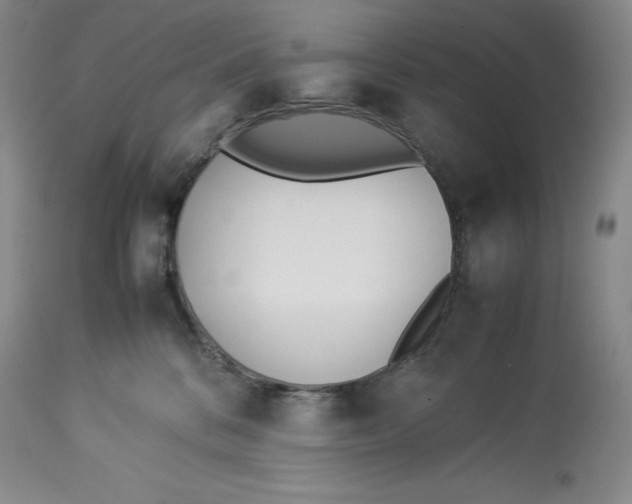 X0000113990328200910231735