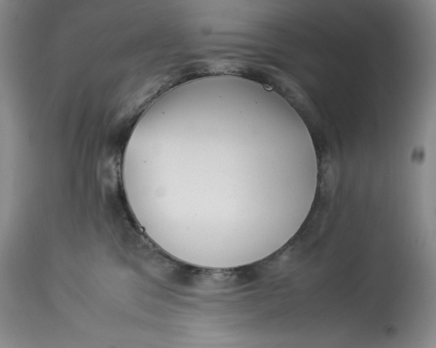 X0000113990329200910231735