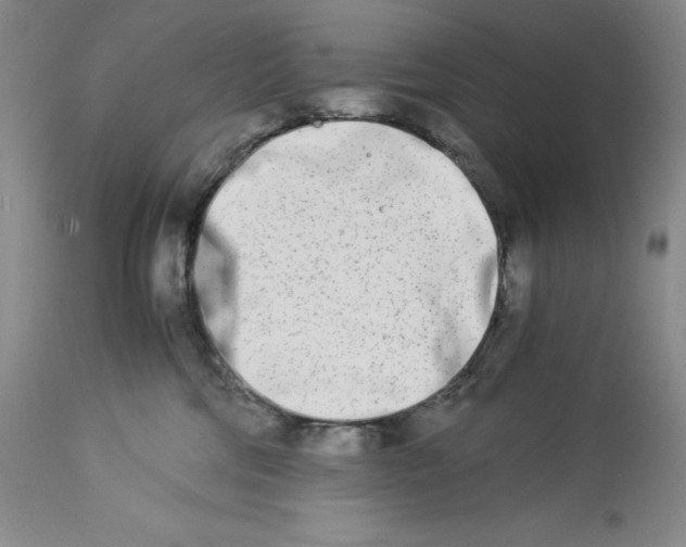 X0000113990330200910231735