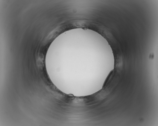 X0000113990332200910231735