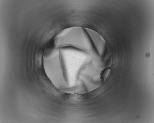 X0000113990334200910231735