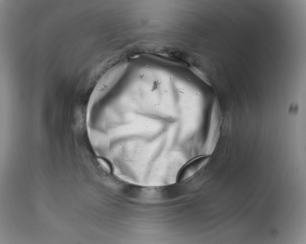 X0000113990335200910231735