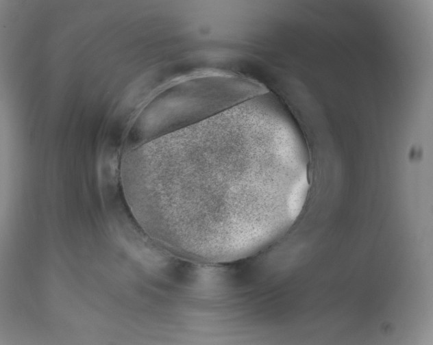 X0000113990336200910231735