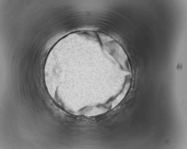 X0000113990337200910231734