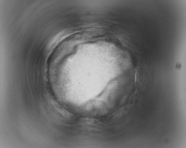 X0000113990339200910231734