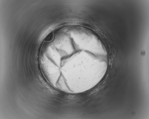 X0000113990341200910231734