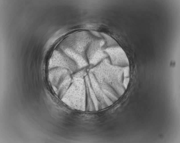 X0000113990343200910231735