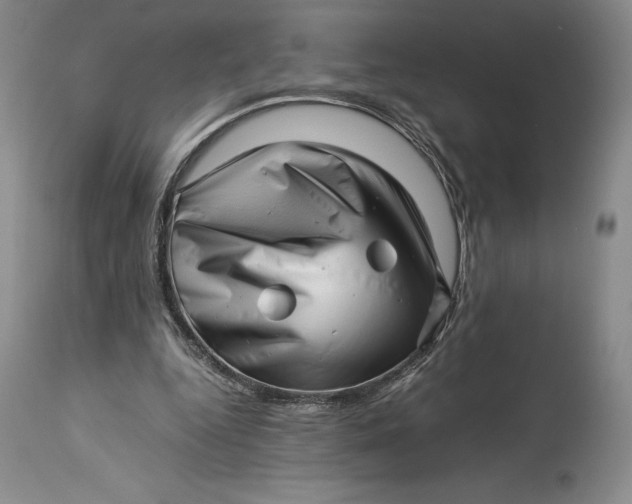 X0000113990344200910231735