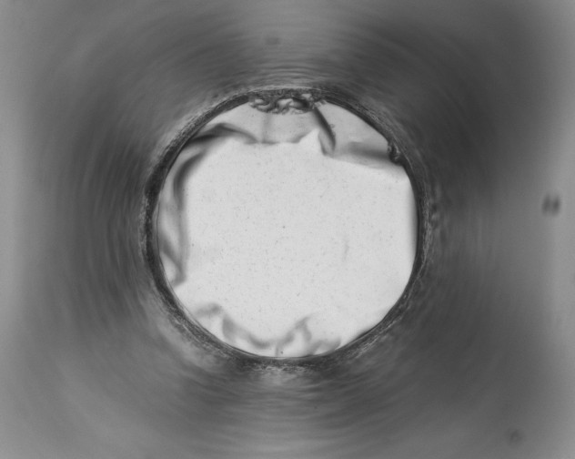 X0000113990346200910231735