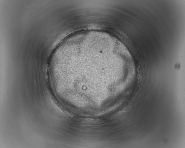 X0000113990347200910231735