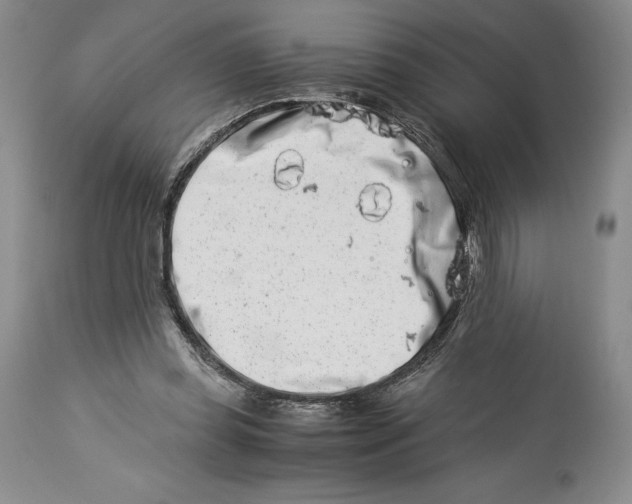 X0000113990349200910231735