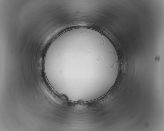 X0000113990350200910231735