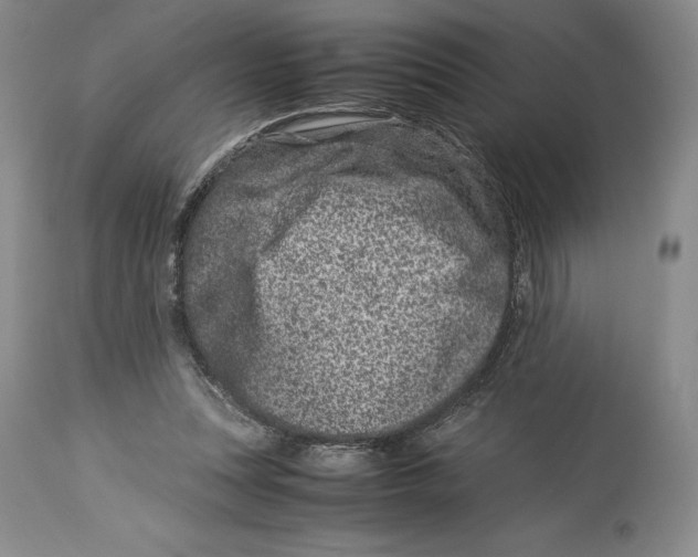 X0000113990351200910231735