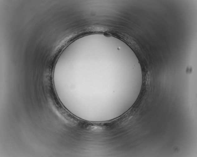 X0000113990352200910231735