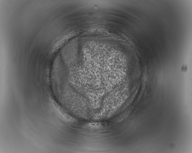 X0000113990353200910231735