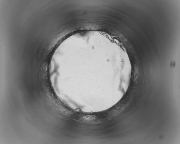 X0000113990355200910231735