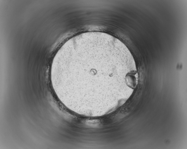 X0000113990357200910231735