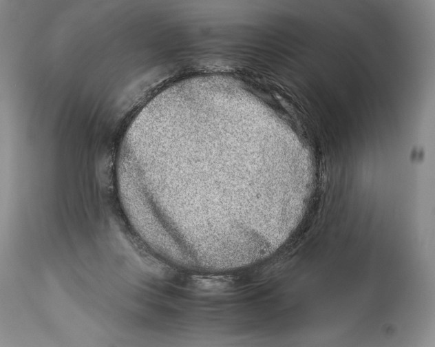 X0000113990359200910231735