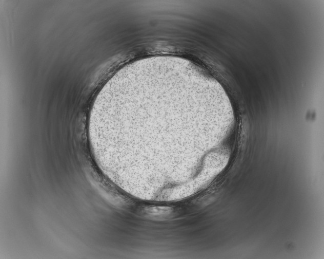 X0000113990361200910231735