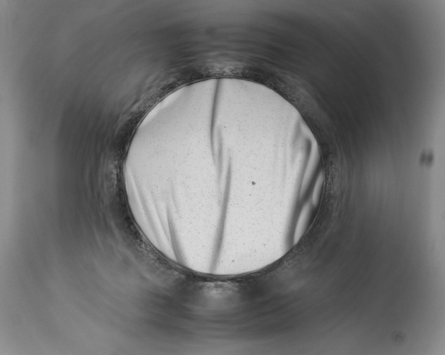 X0000113990363200910231735