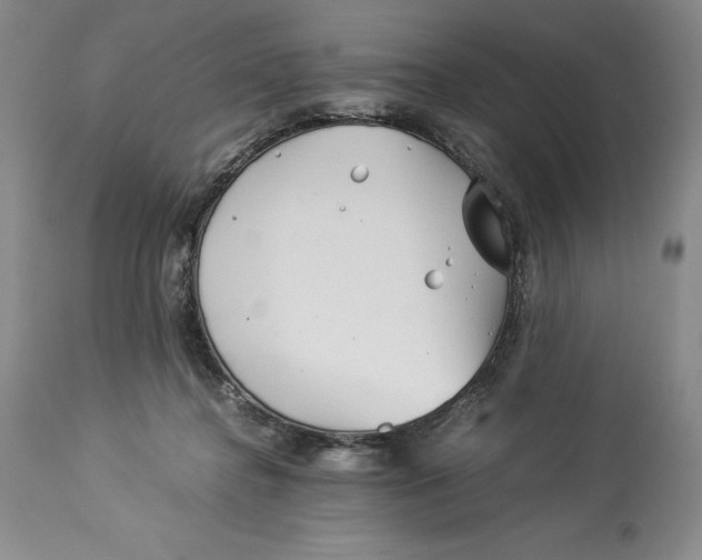 X0000113990364200910231735