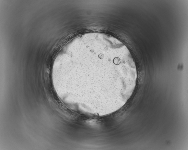 X0000113990365200910231735