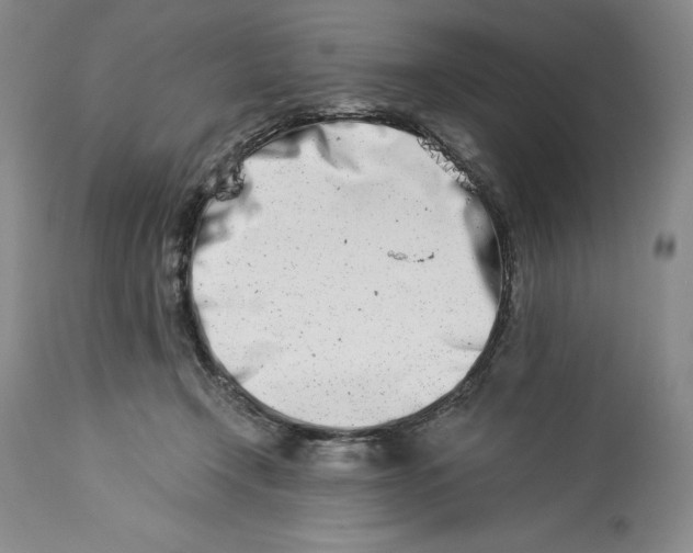 X0000113990366200910231735