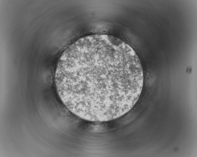 X0000113990370200910231735