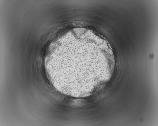 X0000113990371200910231735