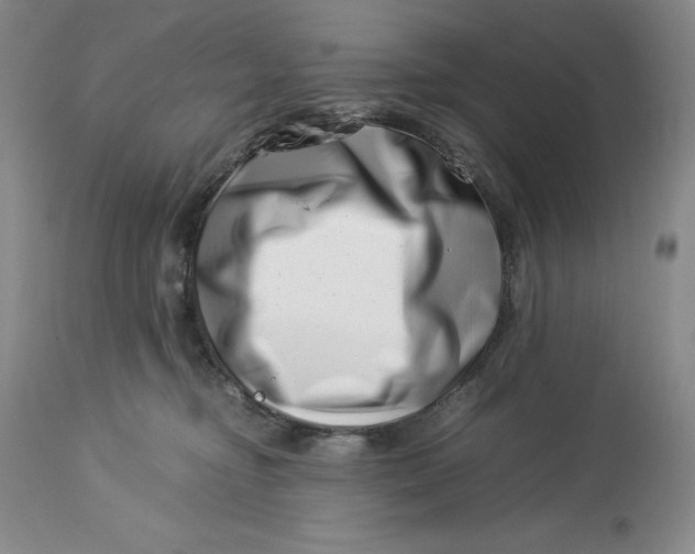 X0000113990374200910231735