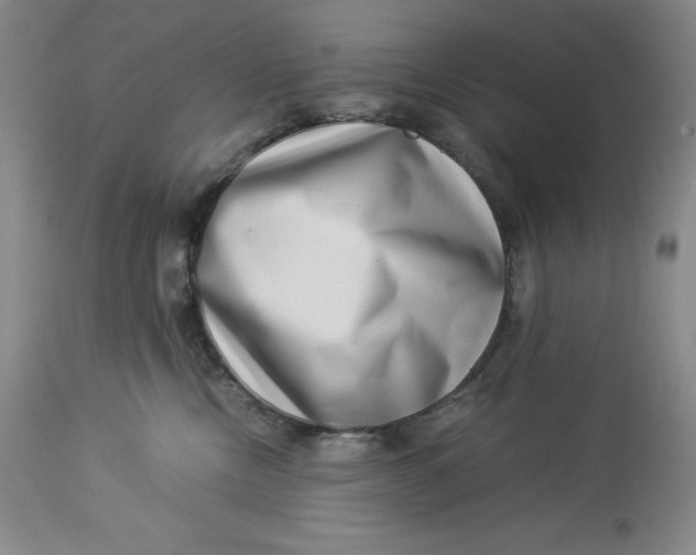 X0000113990378200910231735