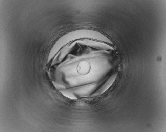 X0000113990380200910231735