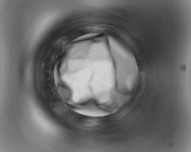 X0000113990381200910231735