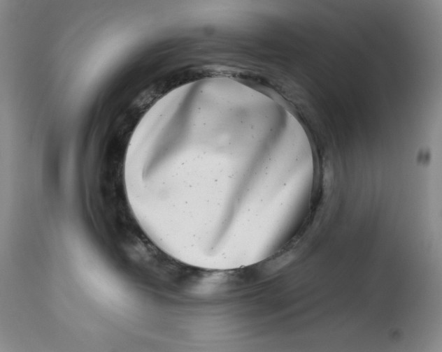 X0000113990382200910231735