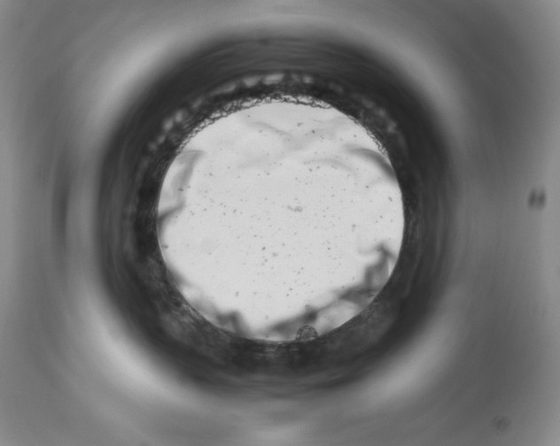 X0000113990383200910231735