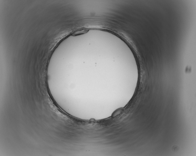 X0000113990385200910231734