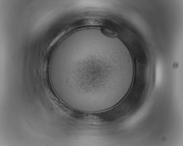 X0000113990387200910231734