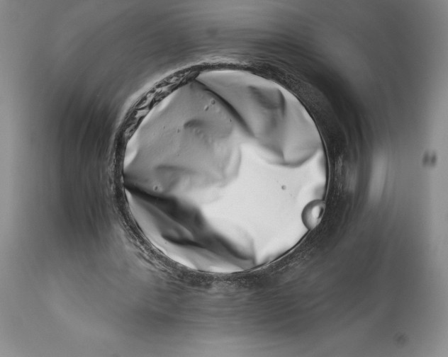 X0000113990388200910231734