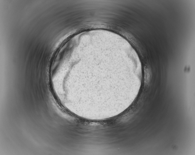 X0000113990390200910231734