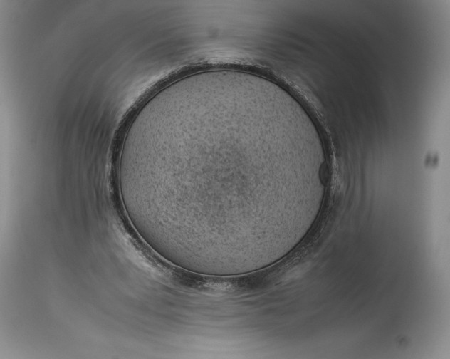 X0000113990391200910231734