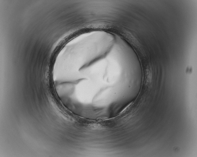 X0000113990392200910231734