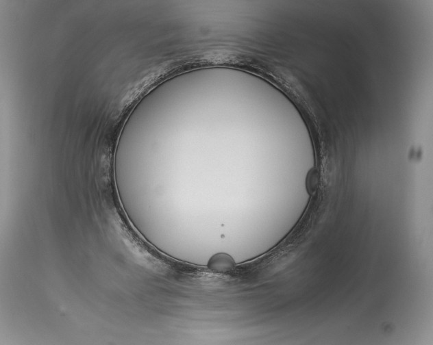 X0000113990393200910231734