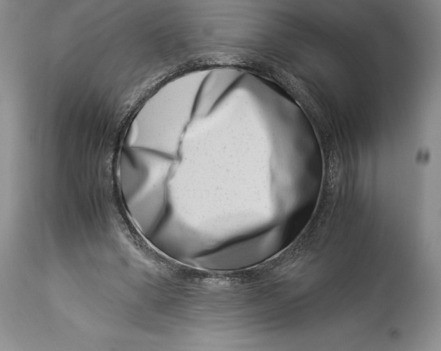 X0000113990394200910231734