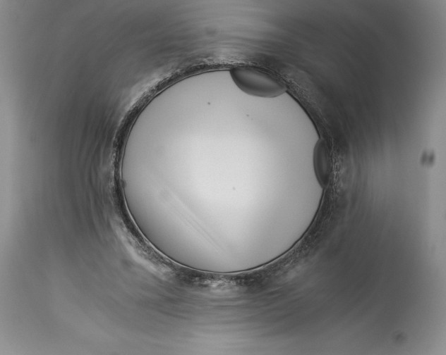 X0000113990395200910231734