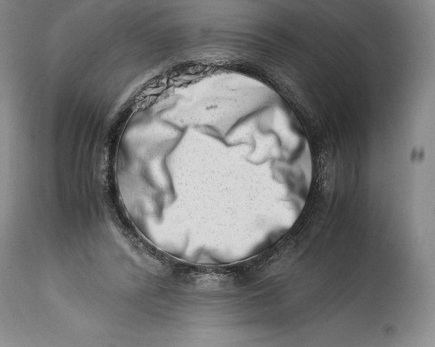 X0000113990400200910231734